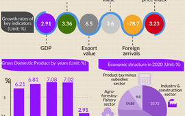 Infographics: Socio-economic performance in 2020